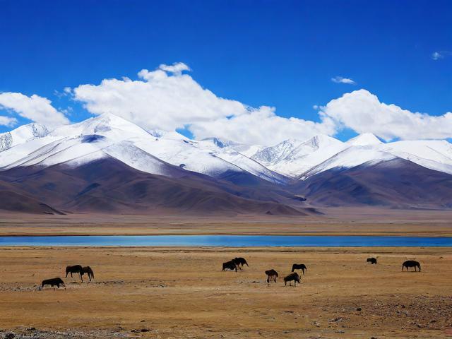 查布嗄有哪些必去旅游景点?