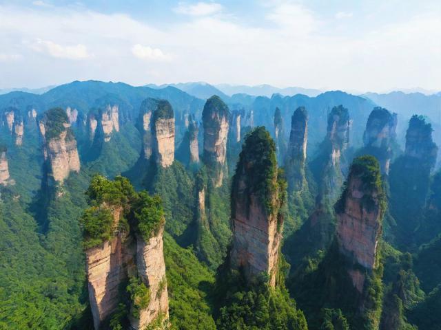 张家界什么旅游资讯好(张家界什么旅游资讯好一点)