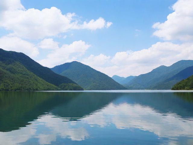 如何规划大九湖游玩攻略?最佳路线与住宿推荐