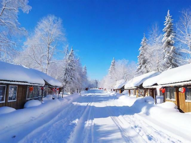 哈尔滨雪乡自由行有哪些必去景点和实用攻略?