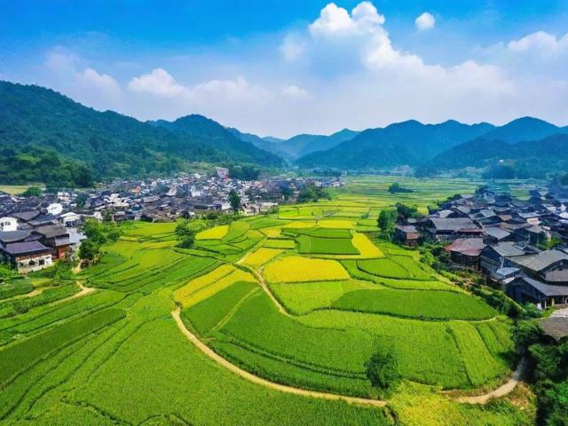 乡村旅游资讯网(乡村旅游官网)