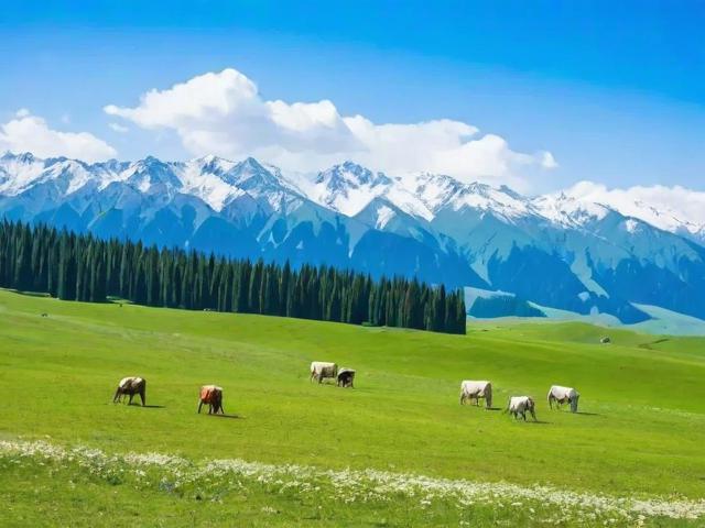 伊犁5月旅游攻略