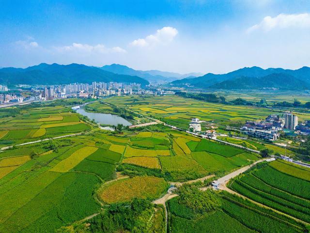 夏邑旅游景点