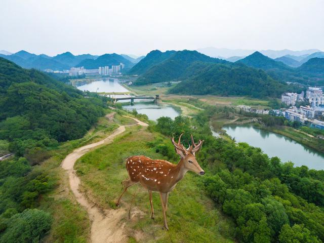鹿邑旅游景点,鹿邑有哪些不容错过的旅游景点?
