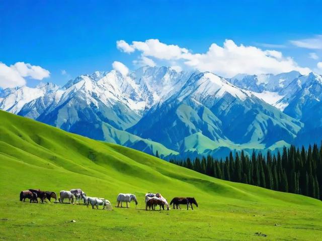 南疆旅游攻略,有哪些必去景点和美食推荐?