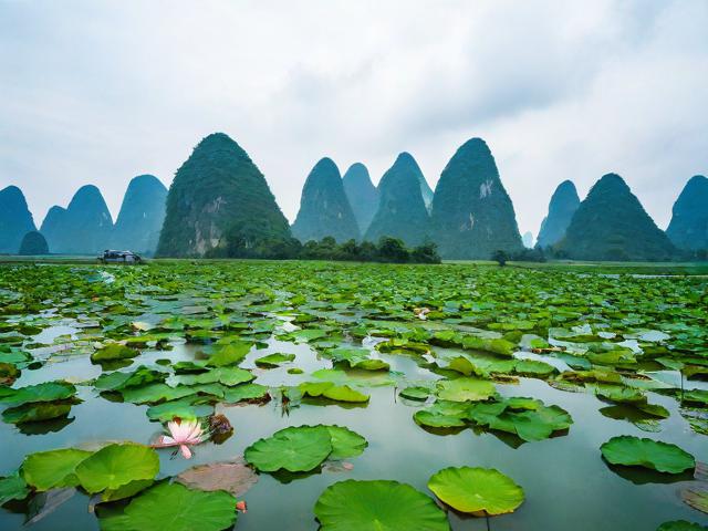 广西普者黑旅游攻略，广西普者黑旅游攻略，如何规划一次完美的旅行体验？