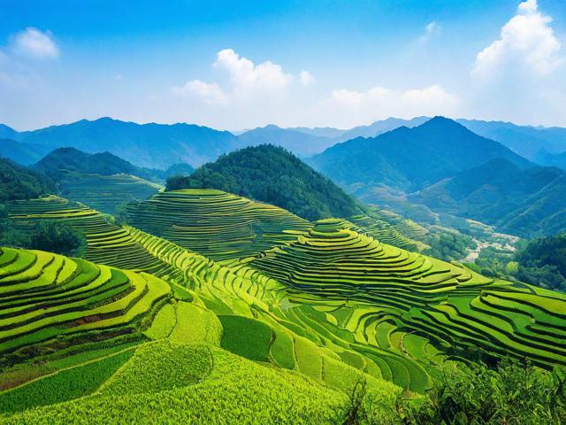 云南罗平旅游攻略,如何规划最佳行程与必游景点?