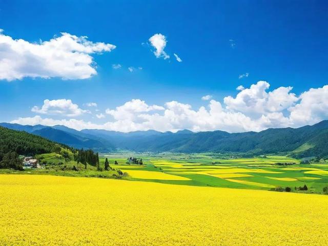 蜂窝旅游攻略