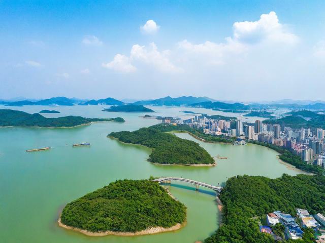 新会旅游攻略，有哪些不容错过的景点和美食？