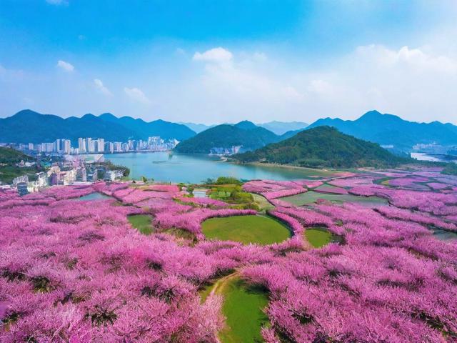 梅州旅游资讯(梅州旅游资讯网)