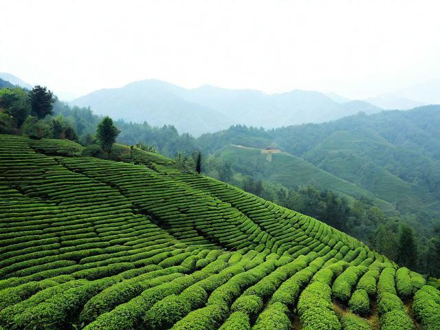 大冶茗山有哪些值得一游的旅游景点？