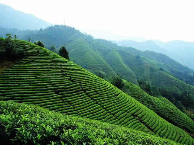 大冶茗山有哪些值得一游的旅游景点?