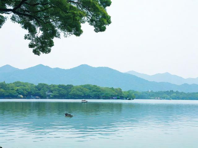 如何规划一次完美的西湖风景区游览行程?