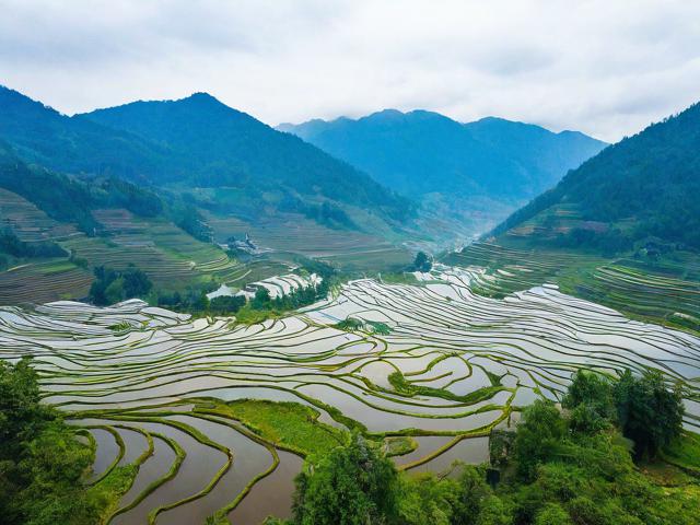 富宁县旅游景点有哪些值得一游?