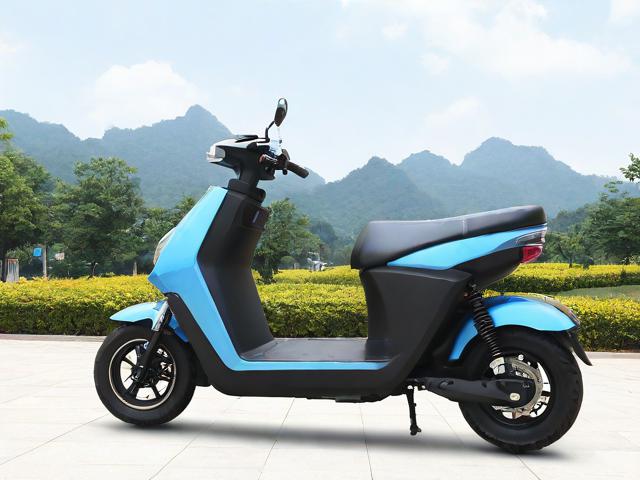 旅游景点租用电瓶车需要什么手续?
