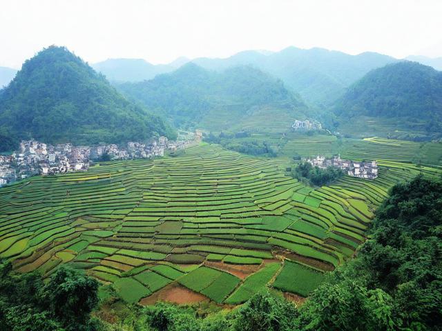 麻栗坡旅游景点有哪些值得一去的地方?
