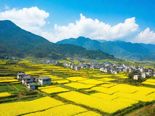 西天尾后黄村旅游攻略,有哪些必去景点和美食推荐?