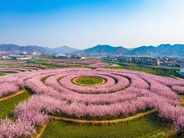 成安县桃圈村有什么旅游景点?