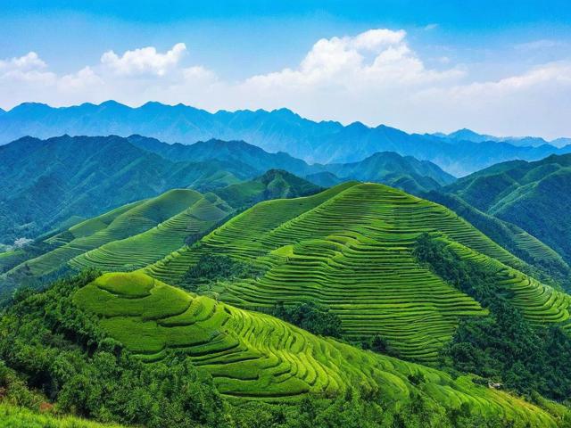 武山有哪些值得一去的旅游景点?