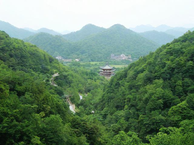 一片绿森指的是哪个旅游景点?