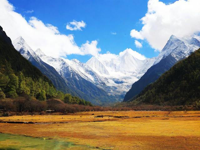 四川旅行攻略,有哪些不容错过的景点和美食?