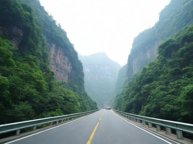 重庆金佛山自驾游攻略能提供哪些实用信息?