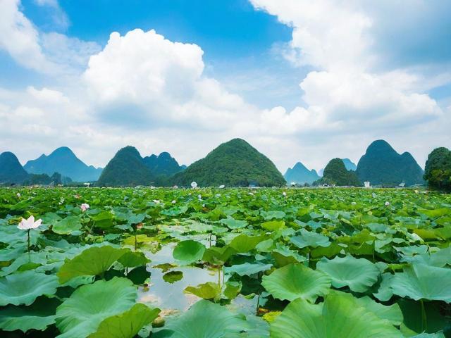 普者黑自驾游旅游攻略,如何规划完美行程?