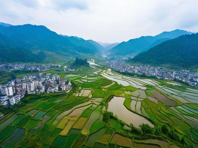 贵州省大方县有哪些值得推荐的旅游景点?