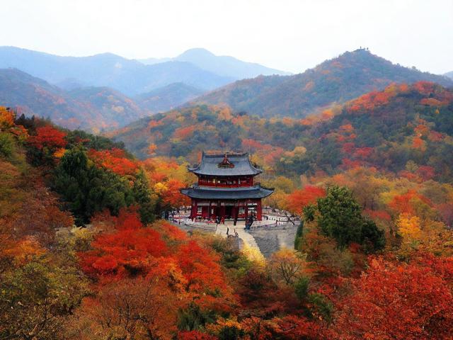 十一假期旅游景点现状如何？