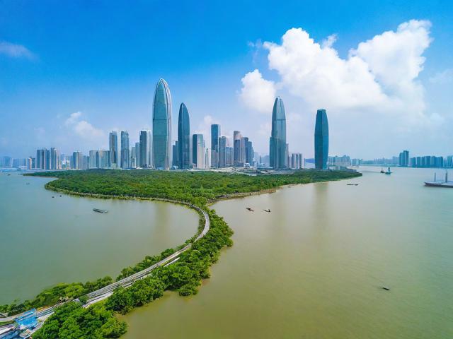 深圳红树林游玩攻略,如何规划最佳路线和活动?