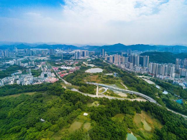 随州旅游攻略,有哪些必去景点和美食推荐?