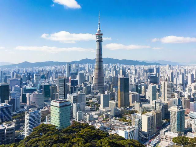 台北旅游攻略,探索宝岛魅力,有哪些必去景点和美食推荐?