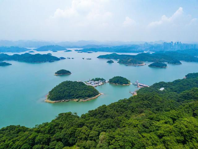 如何规划一次完美的鼎湖山景区之旅?