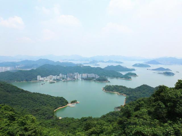 如何规划一次完美的鼎湖山景区之旅?