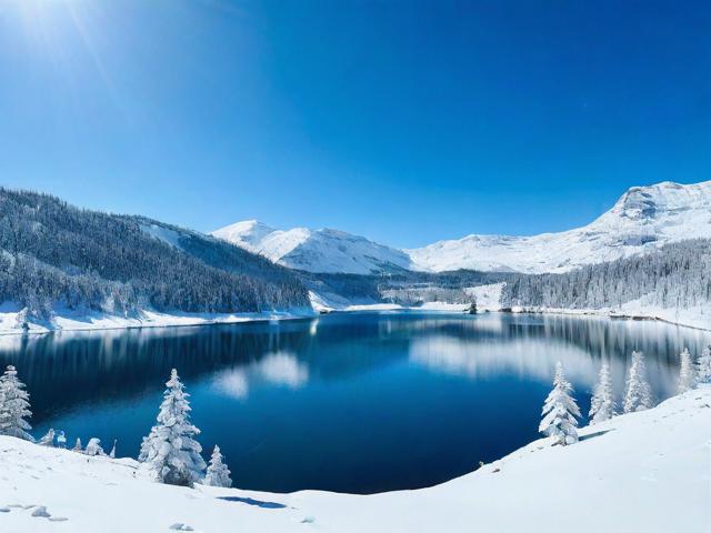雪野湖旅游全攻略,如何规划一次完美的雪野湖之旅?