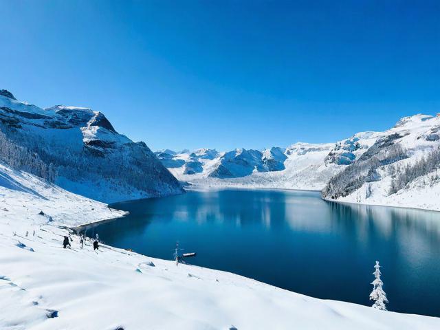 雪野湖旅游全攻略,如何规划一次完美的雪野湖之旅?