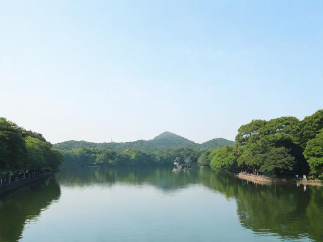 上海到杭州一日游攻略，上海到杭州一日游，如何规划最佳行程？