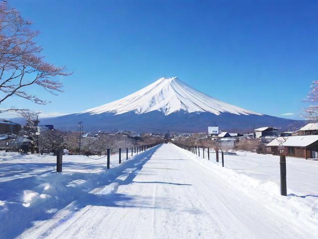 北海道自由行攻略，如何规划一次完美的旅行体验？