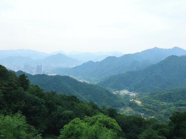 莫干山游玩攻略,有哪些必去景点和特色体验?