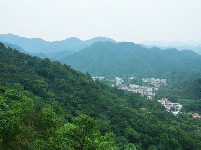 莫干山游玩攻略,有哪些必去景点和特色体验?