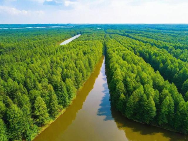 长乐林场游玩攻略,有哪些必玩景点和特色体验?