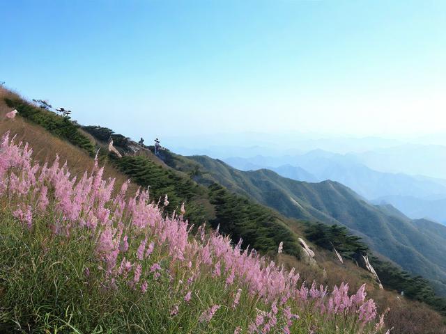爬芦芽山需要多长时间?全程耗时与路线解析
