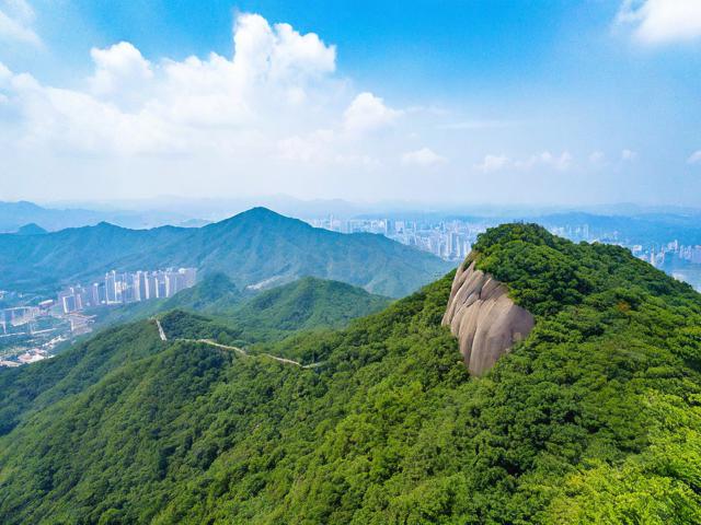 尖峰岭国家森林公园旅游攻略,如何规划最佳游览路线和活动?