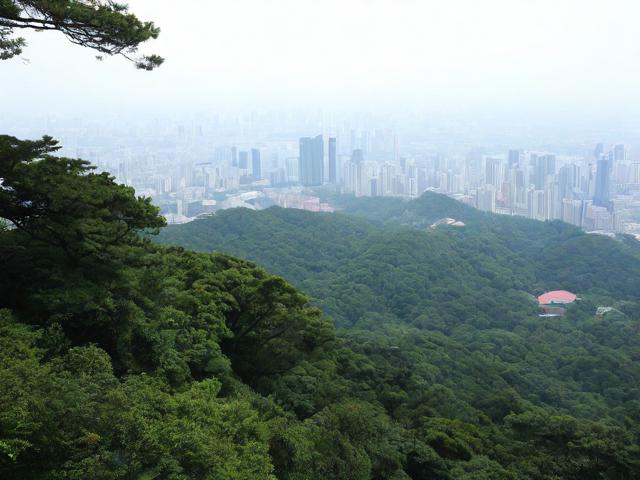 上海天马山游玩攻略,有哪些必去景点和美食?