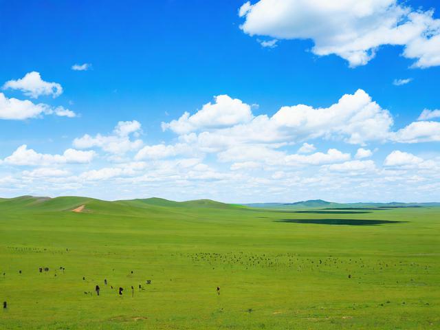 张北草原游玩有哪些必去景点和实用攻略?