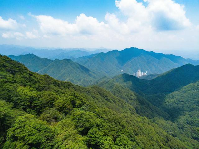 湖南莽山国家森林公园旅游攻略,如何规划一次完美的探险之旅?