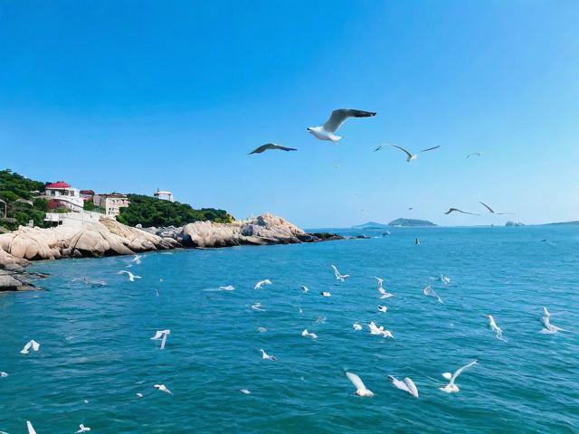 海鸥岛游玩攻略,有哪些必去景点和美食推荐?