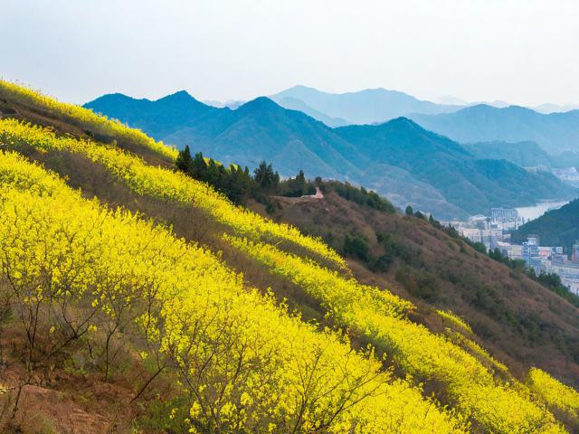 黄梅到黄石怎么坐车多久?
