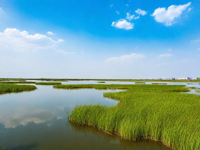 衡水湖旅游攻略，如何规划一次完美的衡水湖之旅？