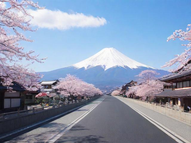 日本旅游自由行(日本旅游自由行还是跟团)